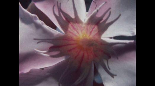 Mein Eigenes Bild, 2 © Renate Schweiger