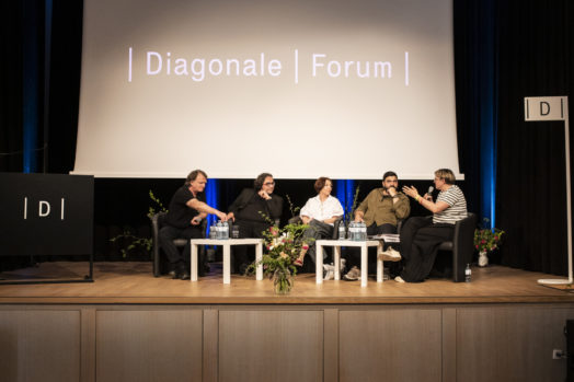 D24 Panel 72dpi(c)Diagonale MiriamRaneburger