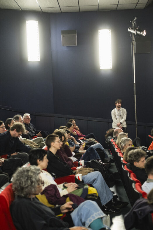 D26 Die Kunstkomplizin 72dpi©Diagonale ClaraWildberger 005